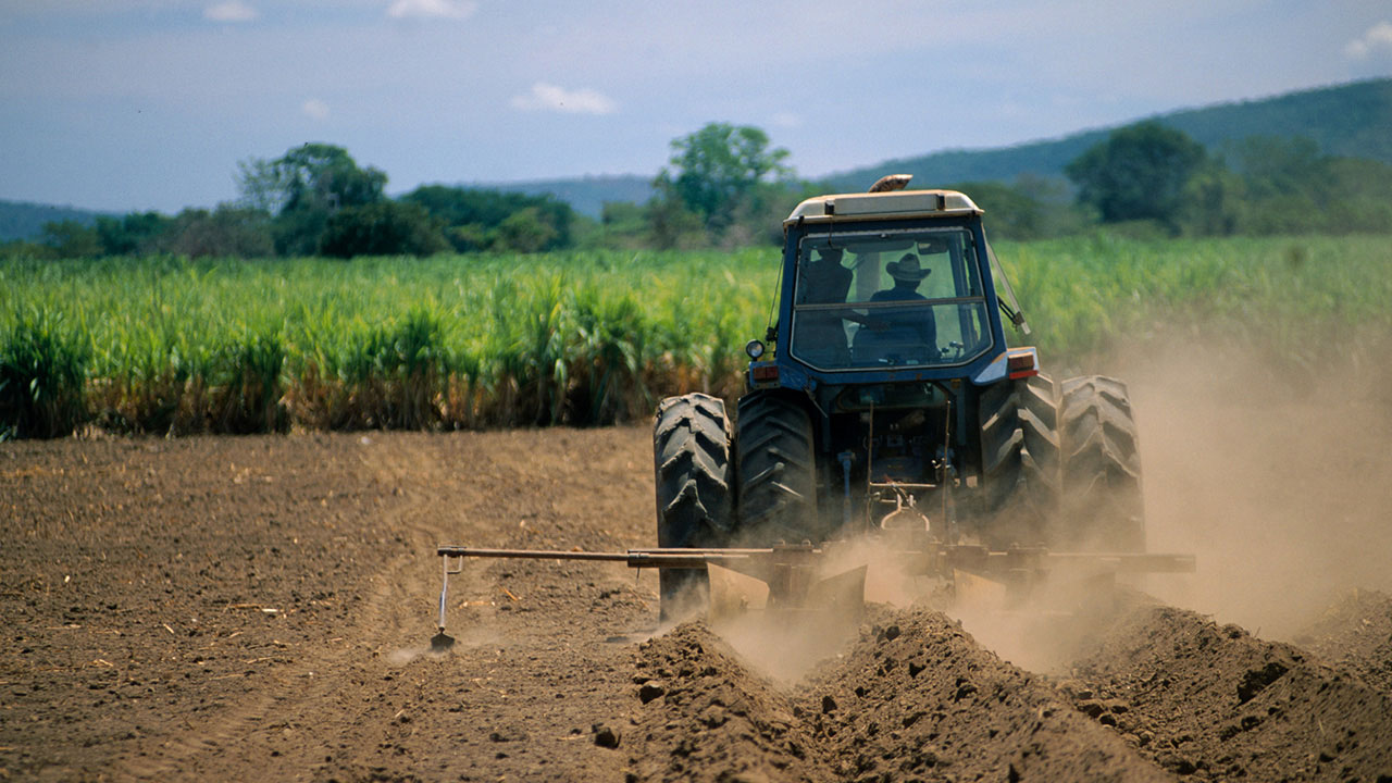 agribusiness in Nigeria